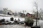 Snowing in Copperopolis