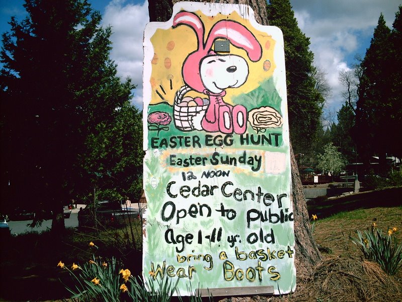 Cedar Center Easter Egg Hunt 2007