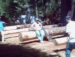 The 2007 Logging Jamboree