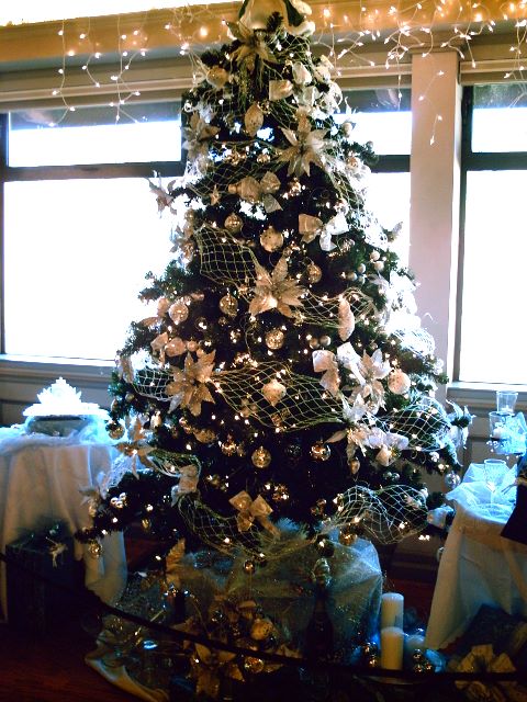 Festival of Trees and More...2007