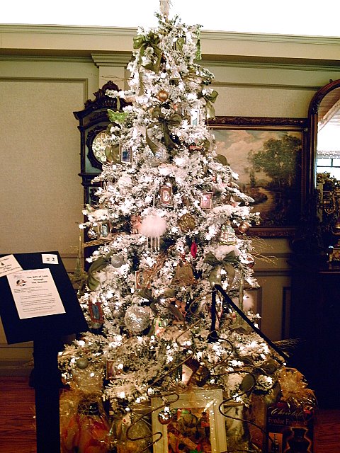 Festival of Trees and More...2007