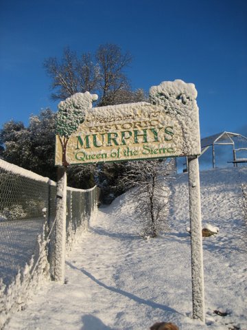 Snow in Murphys