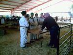 The Angelus Ranus 4-H 20th Annual Youth Poultry Show