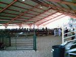 The Angelus Ranus 4-H 20th Annual Youth Poultry Show