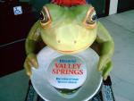The Valley Springs Painted Frog