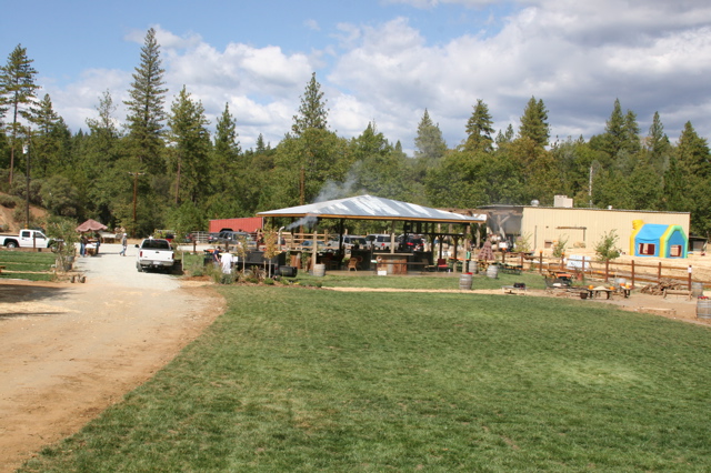 Horse and Barrel Harvest Festival