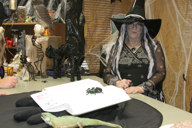 2008 Halloween 