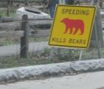Speeding Killing Bears Sign