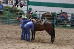  Fair Rodeo, Horse and Arena Events 2014 ~ Photos By Jeff Rasmussen