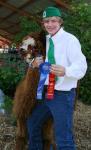 Alpaca Competition at Frogtown
