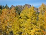 Fall Color from Sierra Sentry's Sandi Pearce