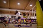 Bret Harte vs Calaveras Volleyball by Patrick Works