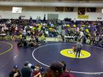 Area Youth Wrestlers Take to the Mats Last Weekend at Bret Harte